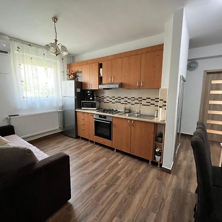 Apartament Andrei Băile Felix エクステリア 写真