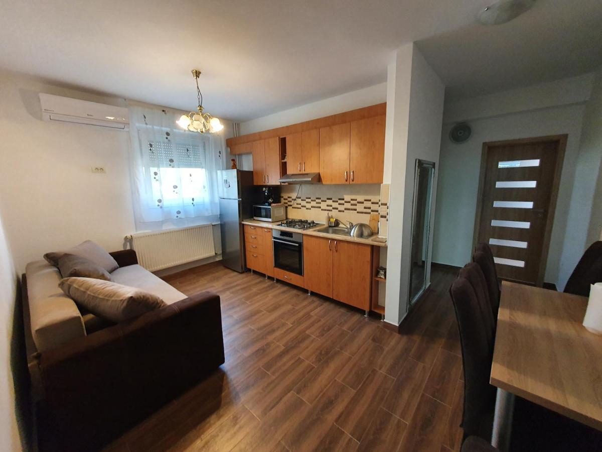 Apartament Andrei Băile Felix エクステリア 写真