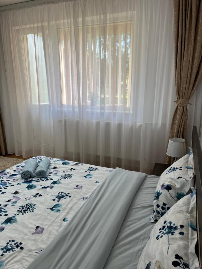 Apartament Andrei Băile Felix エクステリア 写真